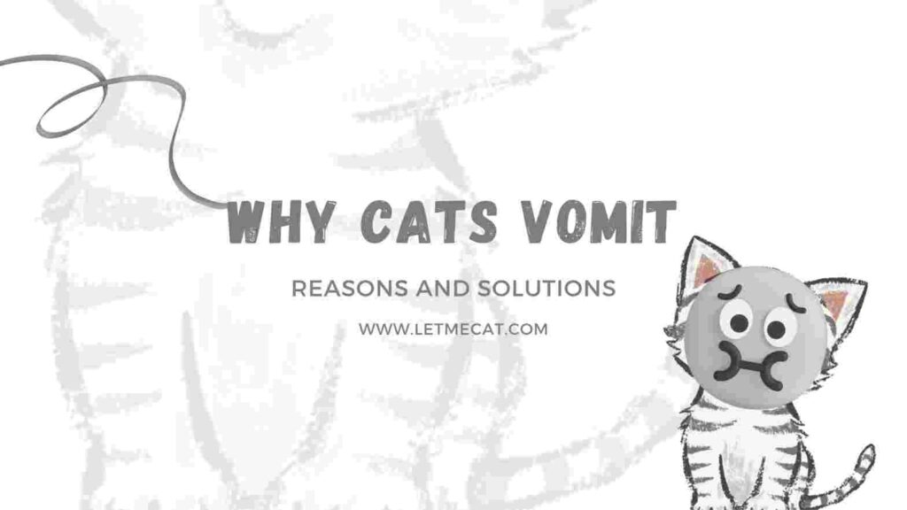 why cat vomit