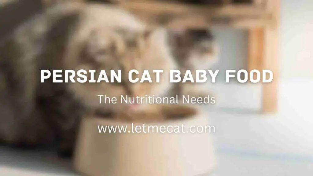 Persian Cat Baby Food and image of cat eating food