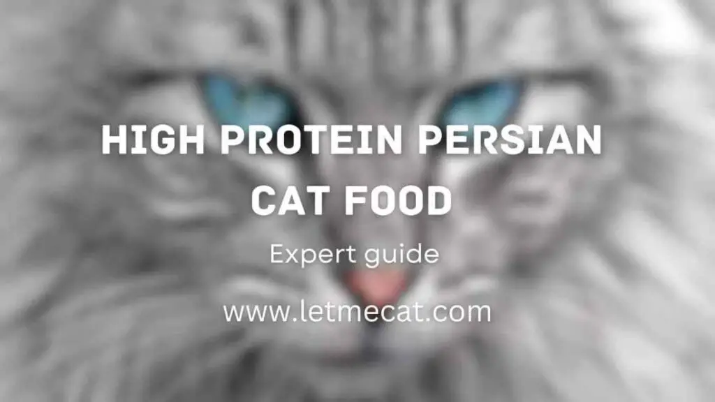 High-Protein Persian Cat Food and a persian cat image