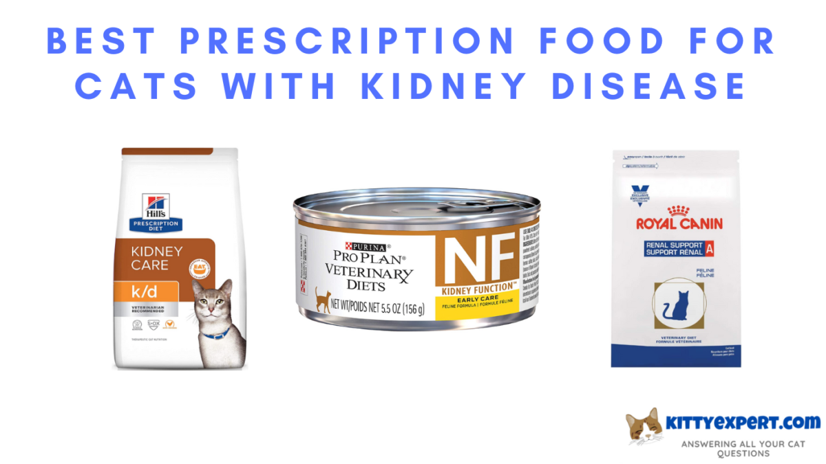 Best Prescription Food for Cats with Kidney Disease Let Me Cat